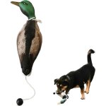 Dog training duck dummy - eva material trainer avec bascule de lancement, jouets de formation de r�cup�ration ...
