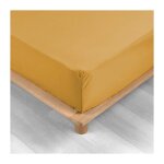 Douceur d'intrieur - drap housse queen size 160 x 200 cm bonnet 30 cm percale de coton 78 fils ocre