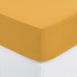 Drap housse coton uni 160 x 200 cm couleur moderne ocre