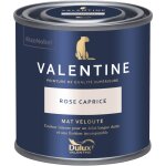 Dulux valentine - peinture intrieure de haute qualit - valentine - couleur intense & pouvoir couvrant ...