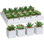 Mica decorations - succulentes vertes ? 4 modèles assortis ? effet naturel ? 8x5cm ? pvc Mica decorations - succulentes vertes ? 4 modèles assortis ? effet naturel ? 8x5cm ? pvc