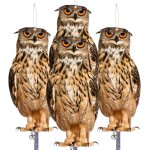 Effaroucheur oiseaux, hibou anti corbeau anti - pigeon, repulsif pigeon, epouvantail oiseaux, carton ...