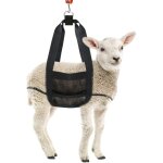 �lingue pour peser les veaux - �lingue suspendue pour peser les veaux, les agneaux, les ch�vres, les ...