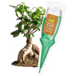 Engrais pour bonsai - 30 ml - régénération - application facile et durable Engrais pour bonsai - 30 ml - régénération - application facile et durable