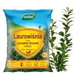 Engrais pour laurier - cerise - 5kg - croissance rapide - résistance au gel - formule minérale Engrais pour laurier - cerise - 5kg - croissance rapide - résistance au gel - formule minérale