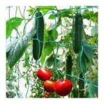 Enowelir filet � ramer avec maillage large pour une r�colte particuli�re bonne de concombres, tomates ...