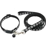 Ensemble collier et laisse pour chien, chiot, chat, chaton r�glable collier de voiture avec durable laisse ...