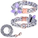 Feiyue - ensemble collier et laisse pour chien fille, comprenant des colliers rglables  boucle dore ...
