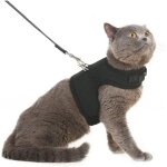 Ensemble gilet, harnais et laisse en maille souple pour chat, harnais �pais pour chiots, petits chiens ...
