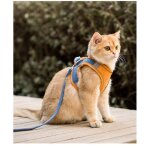 Ensemble harnais et laisse pour chat pour chihuahua, accessoires pour chien et chat, gilet pour carlin, ...