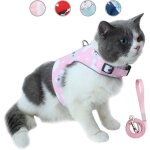 Ensemble laisse et harnais pour chat anti - vasion, gilet rflchissant rglable pour animal de compagnie ...