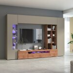 Ensemble mural pour salon moderne avec vitrine et biblioth�que egypt wt