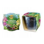 Ensemble de terreau pour orchid�es avec pot 1, 1 l