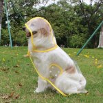 Manteau impermable pour chien avec capuche en nylon transparent - pour chiens de petite  moyenne taille ...