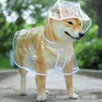 Manteau impermable pour chien avec capuche en nylon transparent - pour chiens de petite  moyenne taille ...