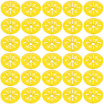 Eosnow 30 pi�ces pi�ges � abeilles en forme de fleur r�utilisable attrape - abeilles entonnoir apiculture ...