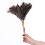 Eosnow - plumeau de plumes d'autruche naturel moelleux, outil de nettoyage mnager avec manche en bois ...