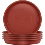 Ersandy - lot de 5 soucoupes pour plantes, soucoupes pour pots de fleurs pour plantes, plateaux de planteur ... Ersandy - lot de 5 soucoupes pour plantes, soucoupes pour pots de fleurs pour plantes, plateaux de planteur ...