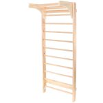 Espalier de gymnase ? 800 x 550 x 2200 mm ? bois ? jusqu' 150 kg ? mur paroi escalade enfants et adultes ...