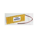 Exalium premium - batterie 12v 2. 7ah nimh pour neurostimulateur dynastim duo