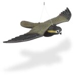 Factice de faucon rapace