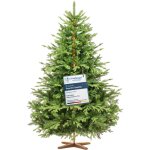 Fairytrees - sapin de no�l artificiel 180 cm arbre de no�l avec support en bois sapin des alpes �l�ments ...