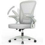 Fauteuil de bureau ergonomique siège - fauteuil avec 2d accoudoirs - support lombaire - réglable en hauteur ... Fauteuil de bureau ergonomique siège - fauteuil avec 2d accoudoirs - support lombaire - réglable en hauteur ...