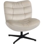 Fauteuil de salon - homcom - rembourr� - sans accoudoirs, assise et dossier larges - tissu en chenille ...