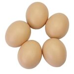 Faux oeufs de nid artificiels, maison, d�coration de jardin