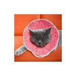 Collerette confortable de post - chirurgie pour chats et chiens, robuste, impermable, rsistante aux ...