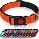 Fei yu - collier pour chien, collier en nylon rflchissant rglable classique avec rembourr doux respirant ...