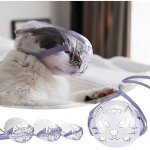Masque anti - morsure respirant transparent pour chat, protection buccale pour toilettage d'animaux de ...