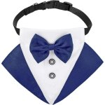 Robe de marie avec n?ud papillon pour chien