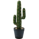 Fleur artificielle artificielle cactus tropical bonsaï décoration créative décoration de la maison plantes ... Fleur artificielle artificielle cactus tropical bonsaï décoration créative décoration de la maison plantes ...