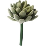 Succulente artificielle réaliste sans pot cactus succulent petites plantes succulentes en plastique sans ... Succulente artificielle réaliste sans pot cactus succulent petites plantes succulentes en plastique sans ...
