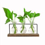 Feiyue - vase en verre cratif de table en bois transparent simple vase hydroponique