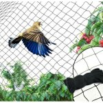 Filet anti oiseaux, filet protection oiseaux noir, utilis� pour prot�ger les jardins, les plantes et ...