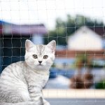 Filet de balcon pour chat, filet de cl�ture anti - chute pour chat, adapt� aux fen�tres de balcon et ...
