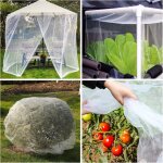 Filet de protection extra fin pour arbres fruitiers, lgumes, myrtilles, 10 x 50 pieds