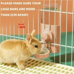 Fitags - distributeur eau lapin, 600ml suspendue abreuvoir lapin automatique biberon cochon d'inde anti ...