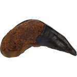 Friandise nature 1 sabot de buffle avec poumon 135g pour chien flamingo