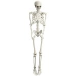Flasidu - squelette simul d'halloween, ornement squelette de 165 cm, articulations mobiles, apparence ...