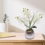 Fleur artificiel phalaenopsis orchid�e en pot c�ramique bonsa� d�coration orchid�e blanche orchid�e en ...