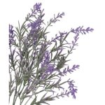 Fleurs artificielles plantes branches bouquet de lavande Fleurs artificielles plantes branches bouquet de lavande