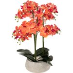 Fleur artificielle en pot, orchid�e sanae, 65 cm