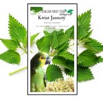 Fleur de lamier bio croquante compl�ment alimentaire en - cas sain pour tous les perroquets 25 g