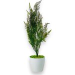 Fleur en pot - cypr�s, thuya en pot vert - brun 75 cm