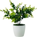 Fleur en pot - eucalyptus vert 30 cm