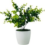 Fleur en pot - eucalyptus vert 30 cm