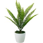 Fleur en pot - foug�re, foug�re en pot 43 cm